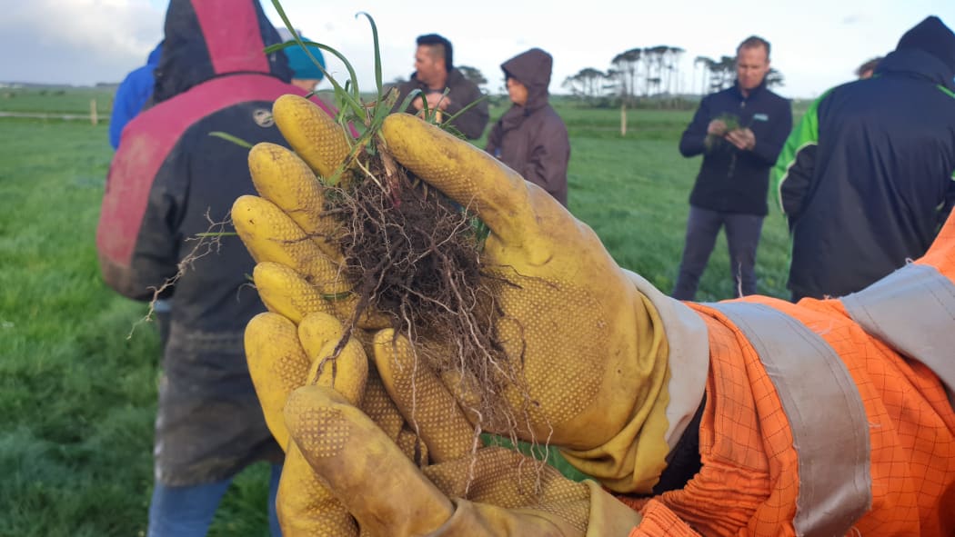 Regenerative agriculture proponents say soil biology has been overlooked in modern farming practices.
