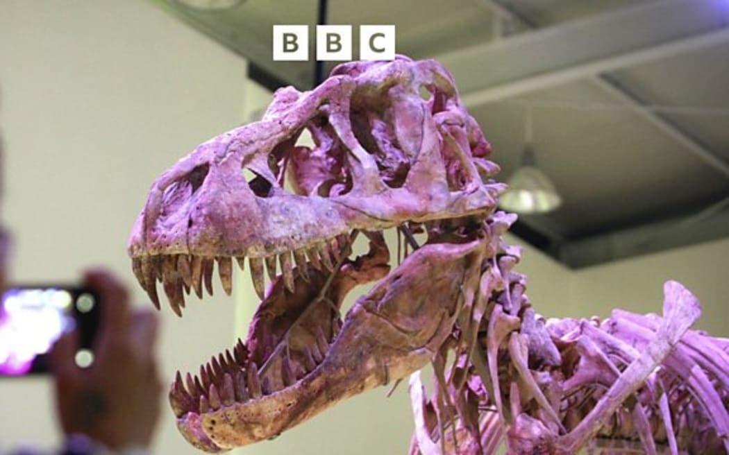 The 70-million-year-old Tyrannosaurus bataar on display in Ulan Bator