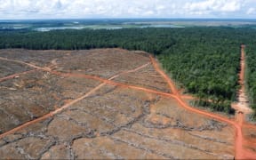 Deforestation in Indonesian-ruled West Papua.