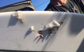 The man was bitten while on his surfboard (pictured).
