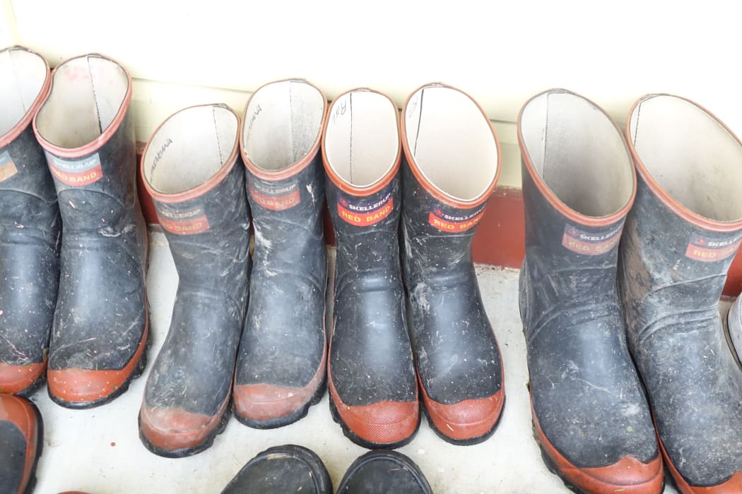 Gumboots were the dress code for the launch of the Te Wai Koiora project at Te Aroha Marae in Kai Iwi north of Whanganui.