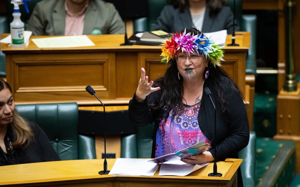 Green MP Elizabeth Kerekere speaks in the debate on Conversion Practices