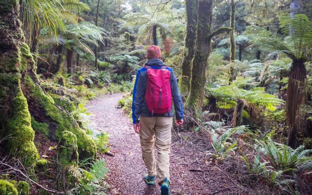 Hiking and tramping in New Zealand. Travel and adventure concept