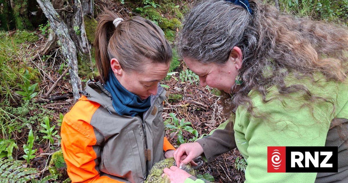 Une menace pour une biodiversité unique