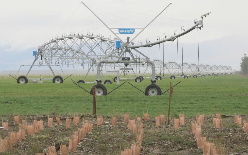 Dairy farm restoration planting, with an irrigator and remnant forest in the background.