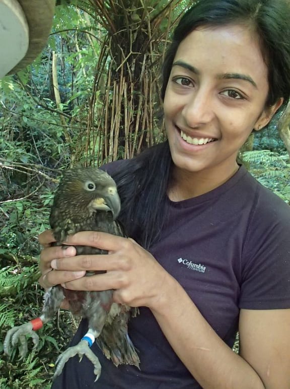 Aditi Sriram, pictured here with a kaka chick, is a vet who is studying and working towards a Massey University Master's degree as a wildlife vet.