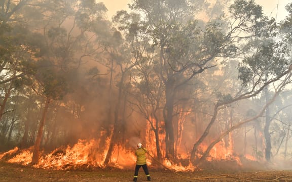 A firefighter conducts back-burning measures to secure residential areas from encroaching bushfires in the Central Coast, some 90-110km north of Sydney.