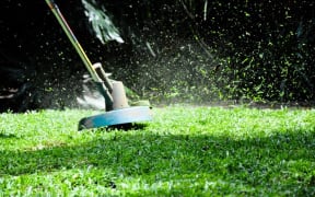 line trimmer