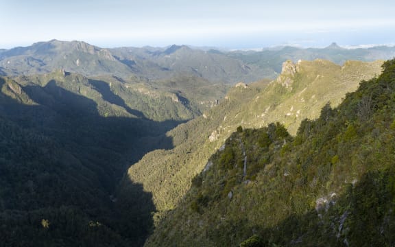 Rolling mountain ranges of the Pinnacles track, Coromandel, New Zealand