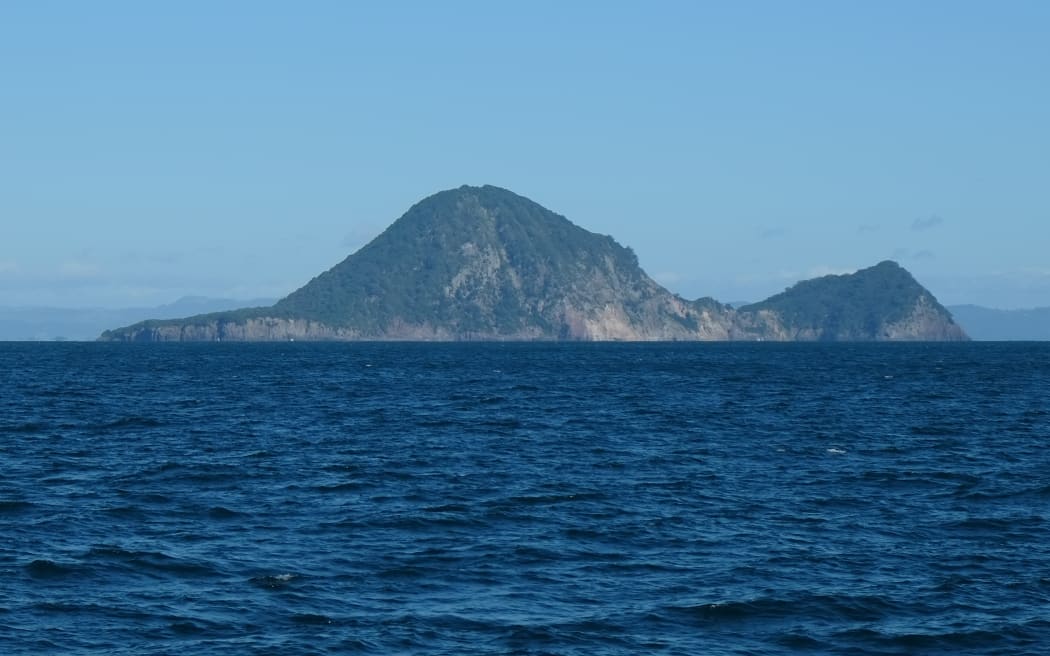 Moutohorā Island in Bay of Plenty.