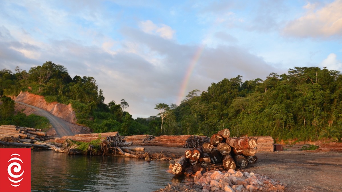 Report alleges illegal logging on PNG's Manus Island | RNZ News