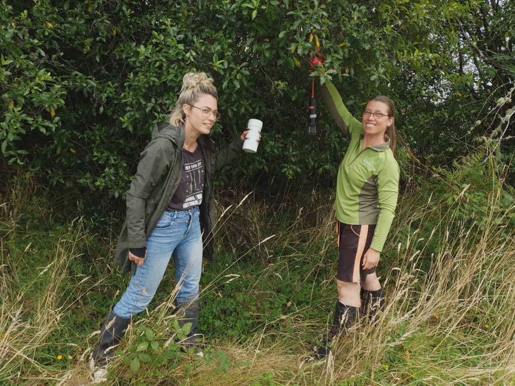 Waikato University PhD candidate Titia Schamhart and DOC science advisor Kerry Borkin are collaborating on the project.
