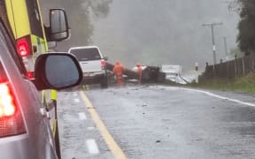 State Highway 35 blocked south of Tokomaru Bay by fallen tree