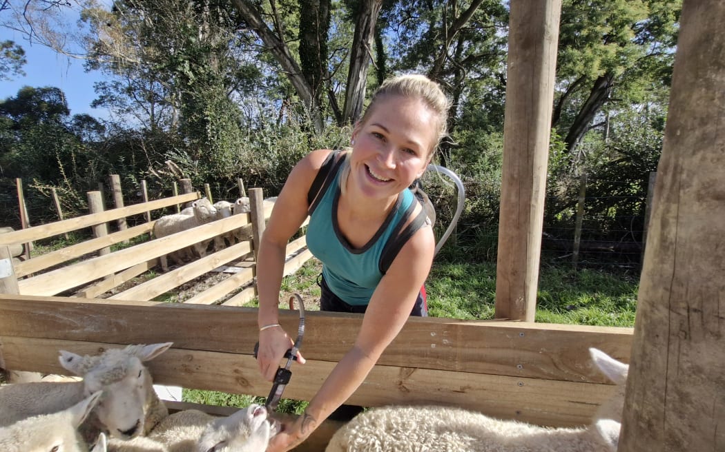 No lost sheep for this Bo Peep - pro shearer finds dream job | RNZ