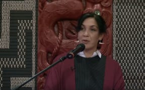 Professor Rawinia Higgins