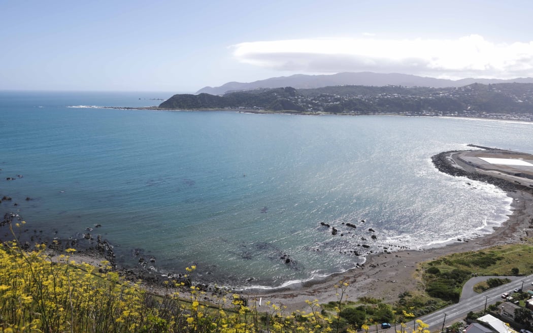 Untreated water is leaking onto the capital's south coast beaches due to the Moa Point Treatment Plant flooding and being turned off from early this morning.