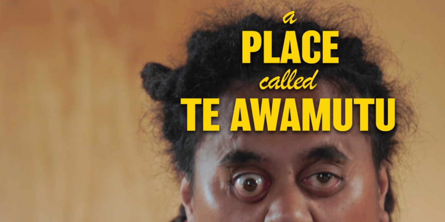Graphic for A Place Called Te Awamutu