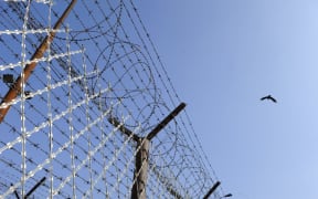 Prison wire