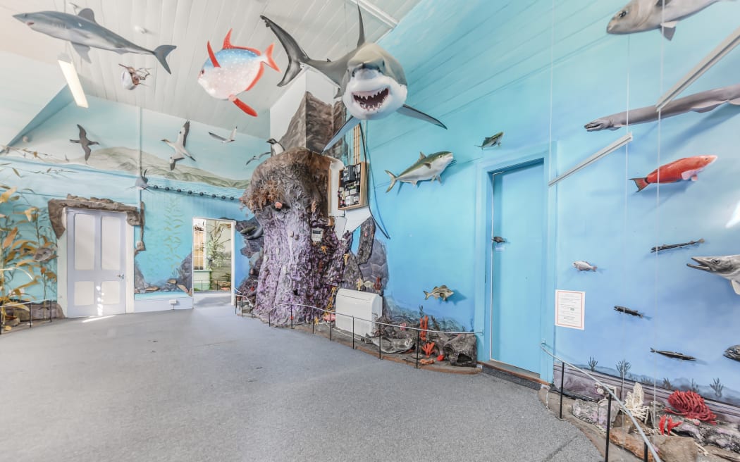 The 12-foot great white is a highlight.