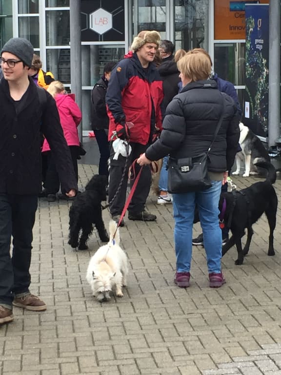 Darwin Dogs A Gallery from Afternoons RNZ National