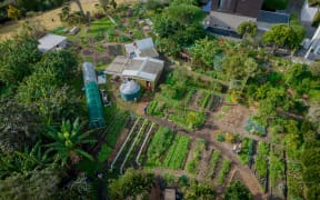 Kelmarna Community Gardens, Ponsonby, Auckland.