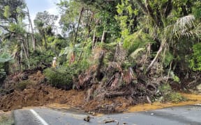 There are at least seven slips through the Mangamuka Gorge.