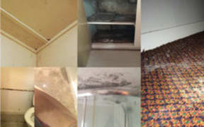mouldy flats