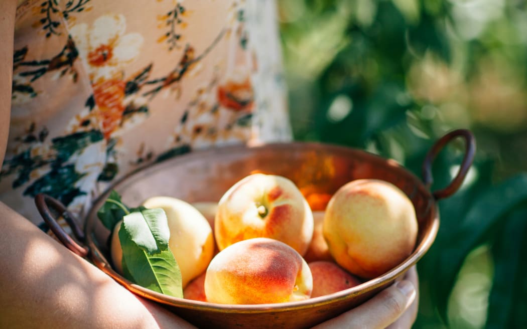 A woman holding a basket of peaches in an outdoor setting.