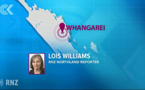 American visitor, 21, denies causing fatal crash