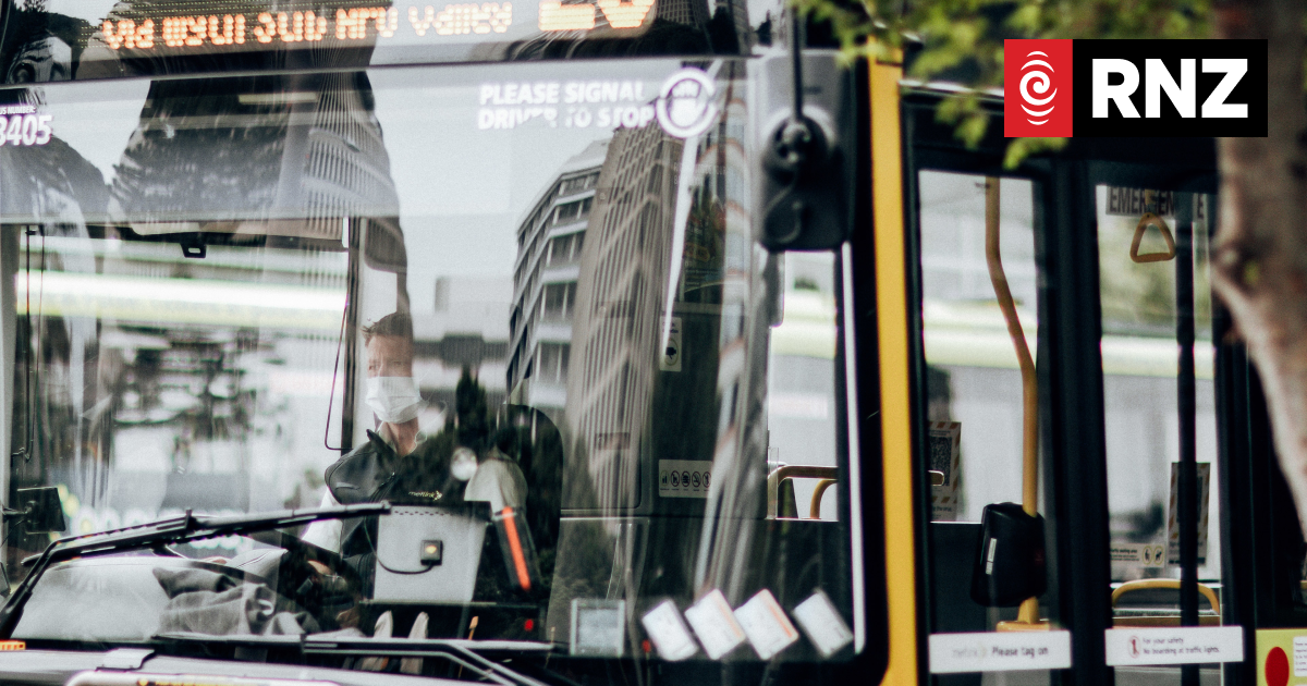 Wellington public transport fares hiked by 10% - Vimarsana News