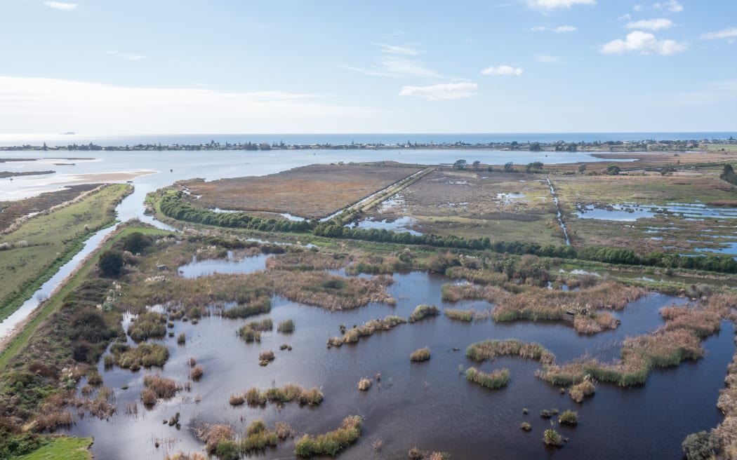 Alison Dewes believes the land surrounding the estuary should be restored to the wetland it once was.