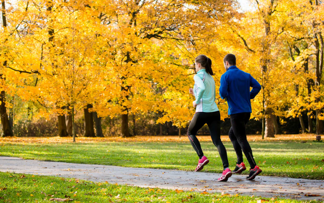 Young couple jogging together in park - rear view