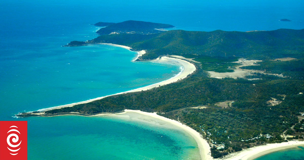 Spearfisher Dies in Shark Attack on Great Barrier Reef
