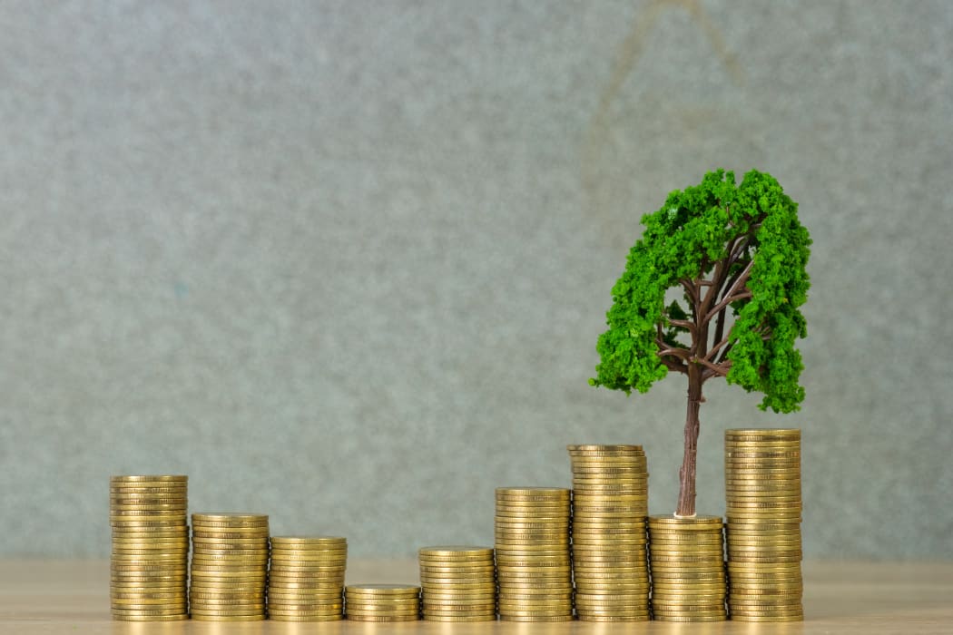 Tree growing on pile of golden coins, growth business finance investment and Corporate Social Responsibility or CSR practice and sustainable development concept idea.