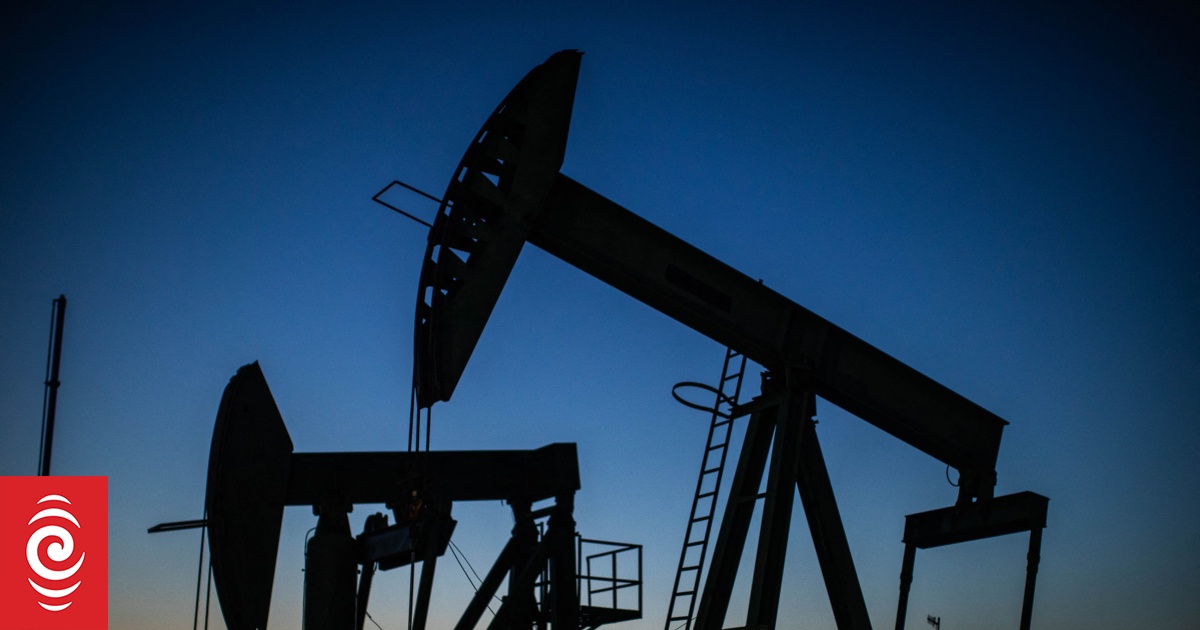 Climate change Big Oil executives testify before US Congress RNZ News