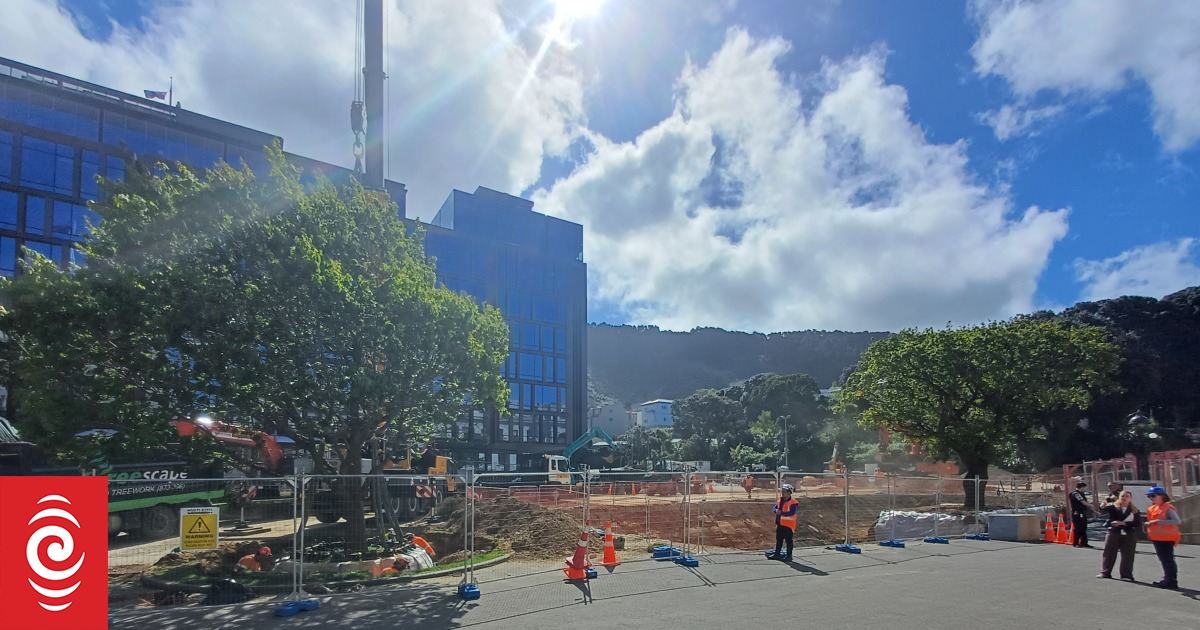 Parliament 'roundabout' oak tree dies ahead of relocation - Vimarsana News