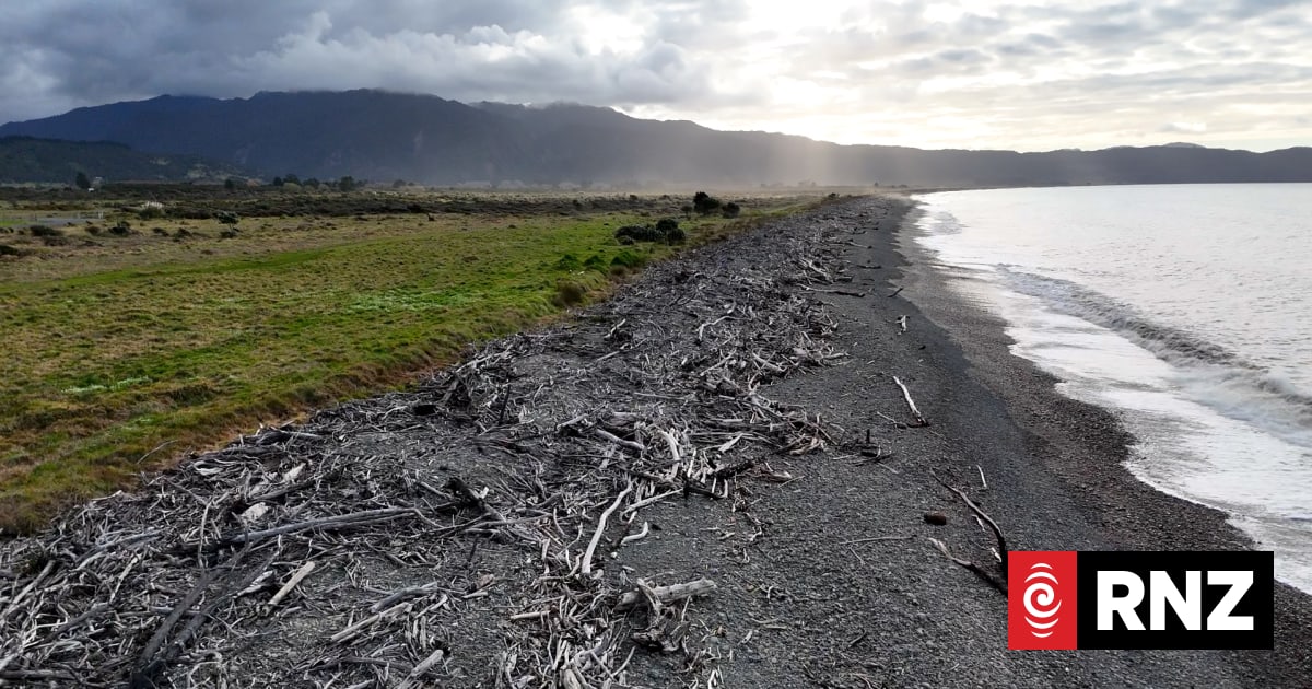 Tairāwhiti's beaches overrun with forestry slash