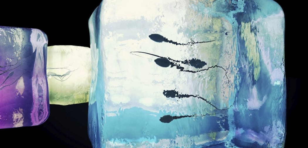 Cryonic preservation of sperm, conceptual illustration. (Photo by CHRISTOPH BURGSTEDT/SCIENCE PHOT / CBR / Science Photo Library via AFP)