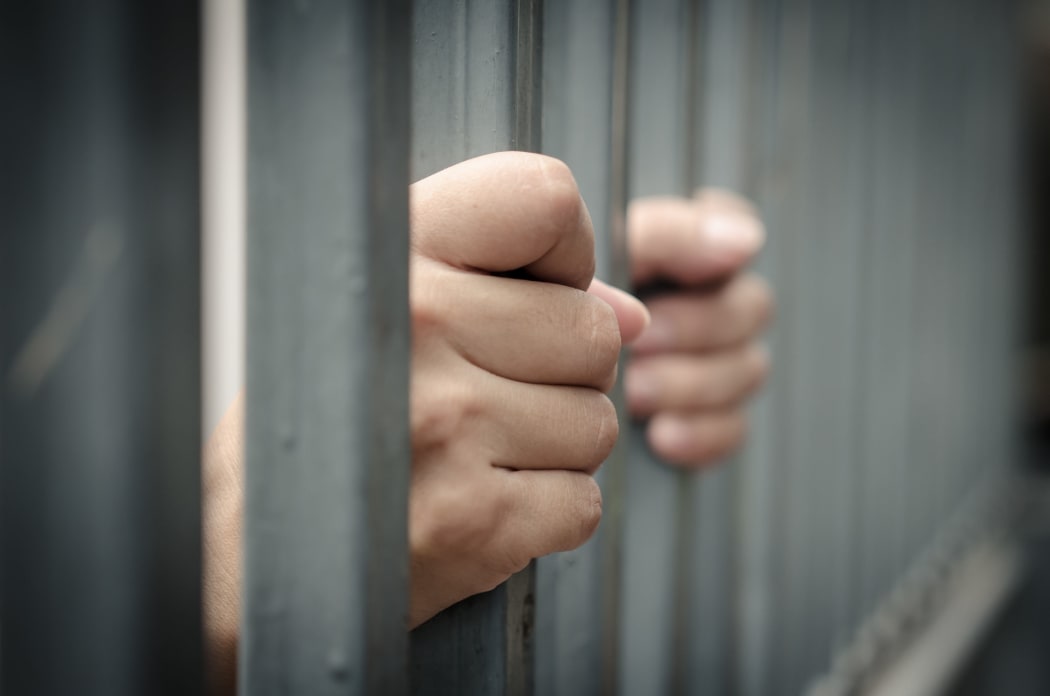 30717816 - hand in jail