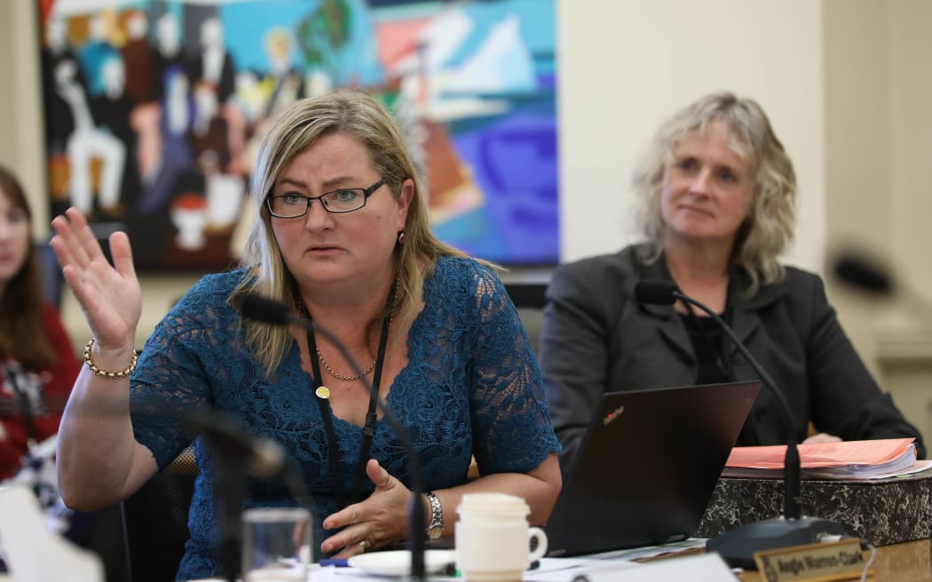 Labour MP Angie Warren-Clark in select committee