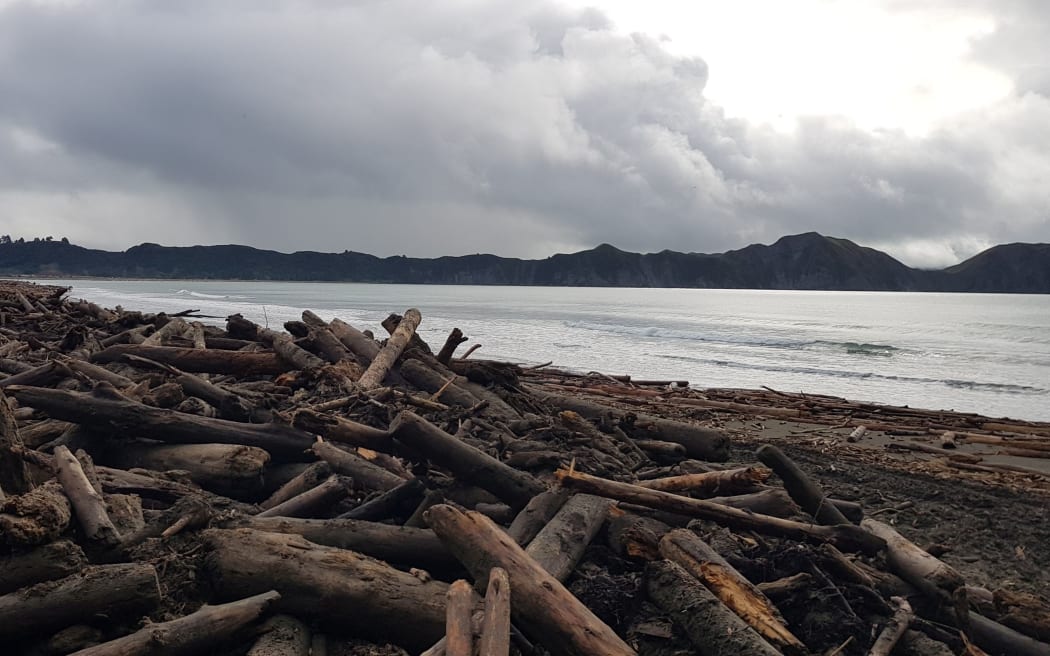 Slash debris after flooding in Tolaga Bay.