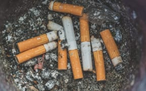 Cigarette butts