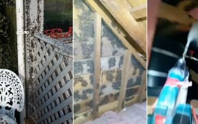 Surfaces covered in flies and a spray gun.