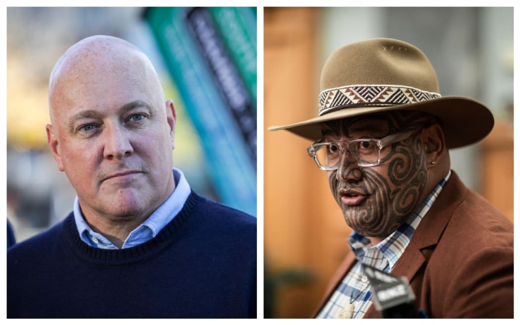 Christopher Luxon and Rawiri Waititi