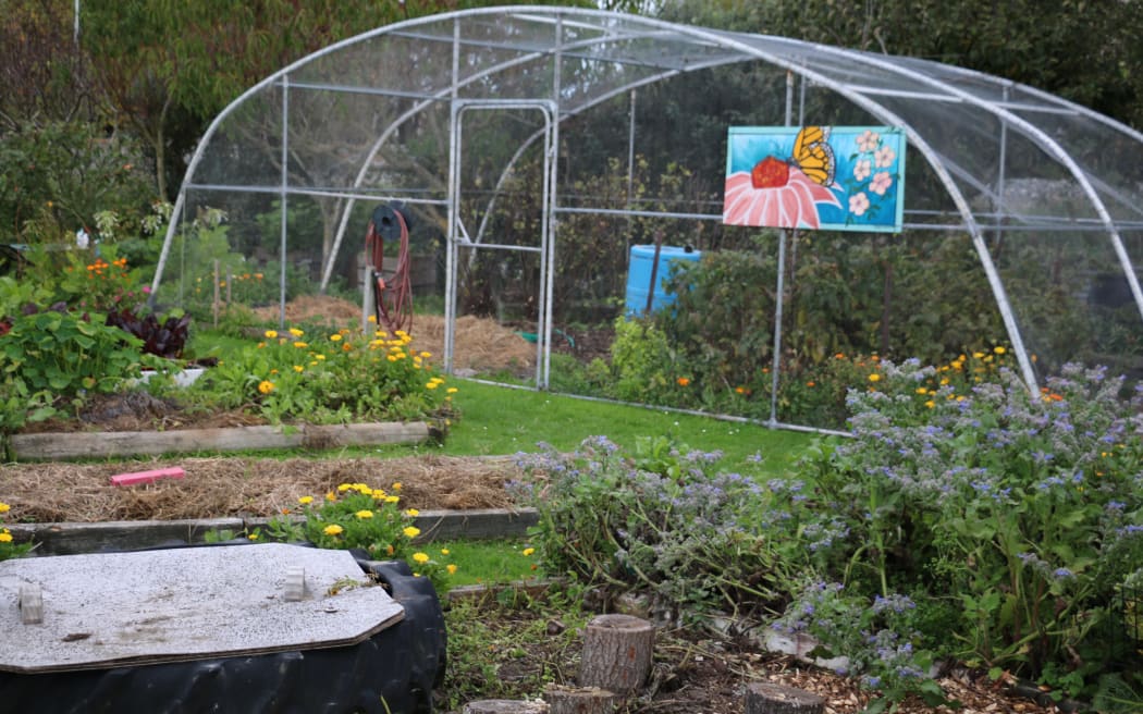 Kaiapoi Community Garden