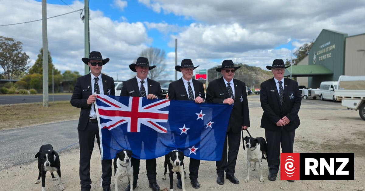 New Zealand wins the Bledisloe Cup of Sheep Dog Trialling