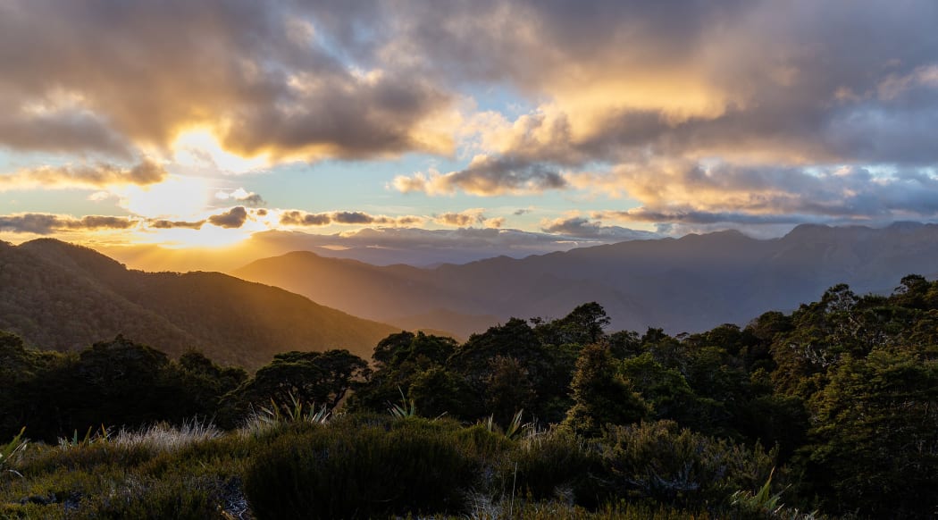 Sunset from John Reid Hut, Kahurangi, NZ
