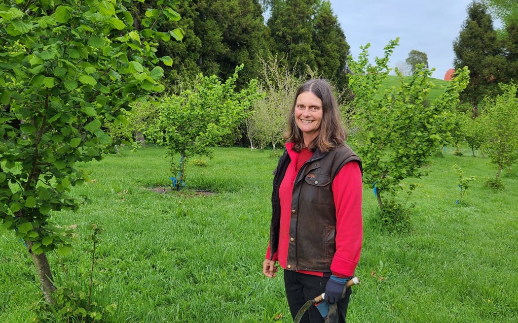 Alison Bentley about to get rid of the suckers on her hazelnut trees, planted as part of a trial
