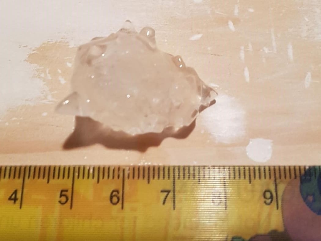 A hailstone measuring 2.5cm that fell in Churton Park, Wellington.