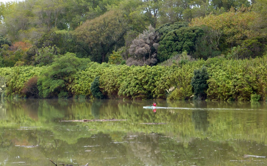 A kayaker on the Whanganui River.